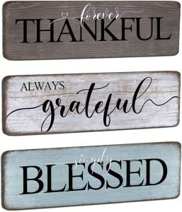 Farmhouse Home Sign Wall Decor Family Wall Decor for Living Room 3 Pieces Grateful Thankful Blessed Wall Art Decor 16"x5" Inspirational Family Quotes Wall Decor Family Signs for Home Decor Wall, Kitchen, Bedroom, Office...